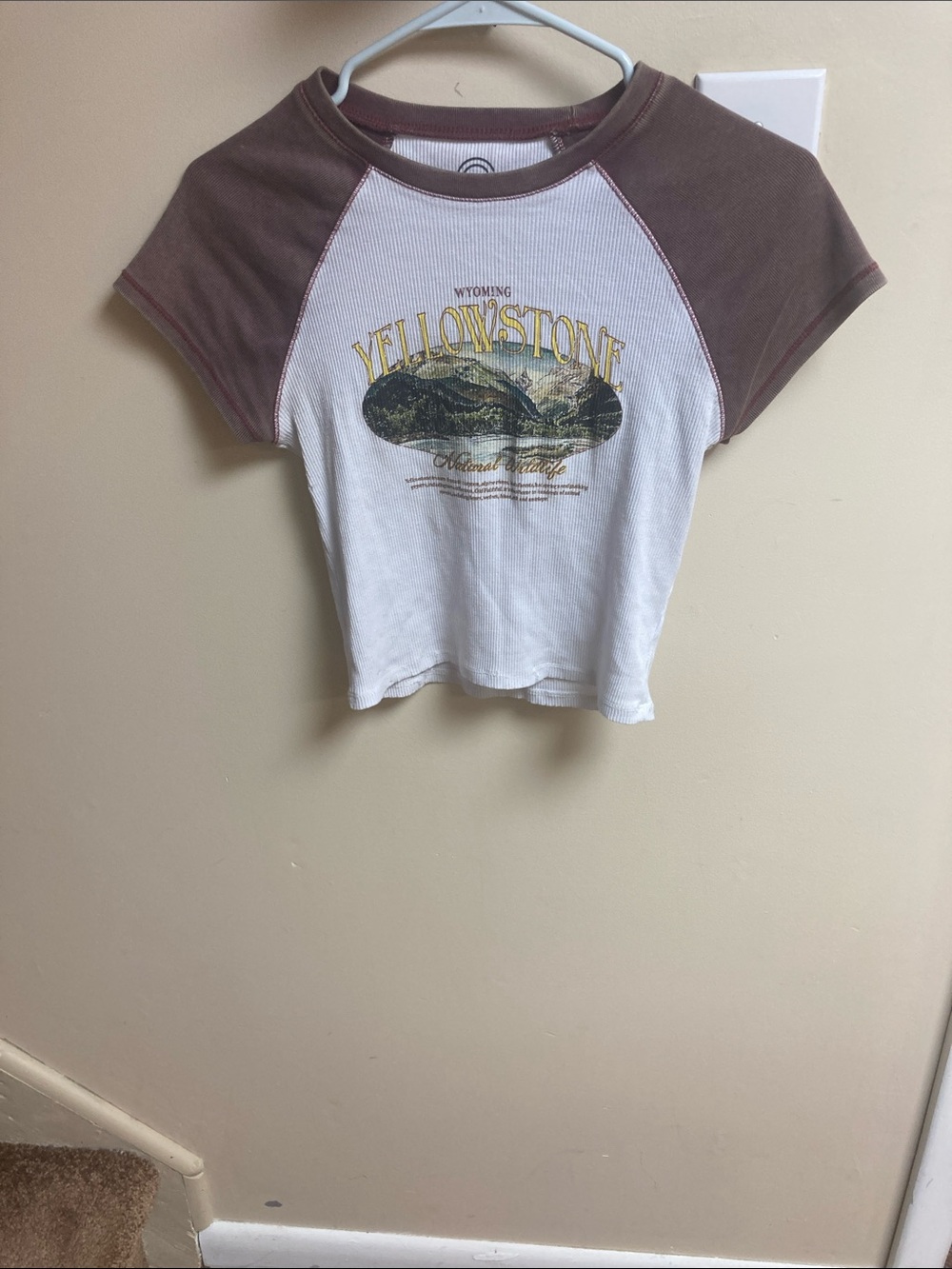 Yellowstone Graphic Raglan Crop Tee - White & Brown